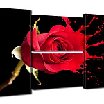 Картина модульная 80*140 Q586/587 4 модуля роза на черном