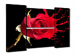 Картина модульная 80*140 Q586/587 4 модуля роза на черном